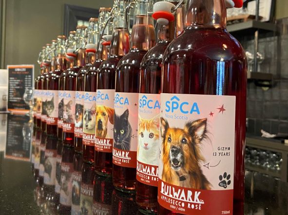 Bottles of special edition SPCA cider lined up on the bar